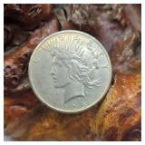 1925 Silver Peace Dollar