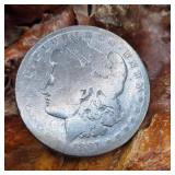 1891 O Morgan Silver Dollar  (Toned)