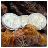 Three1921 Morgan Silver Dollars