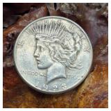 1923 D Silver Peace Dollar