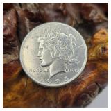 1925 Silver Peace Dollar