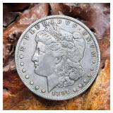 1891 Morgan Silver Dollar