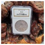 NGC 2003 MS69 Silver Eagle