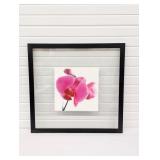 CEDRIC PORCHEZ PINK ORCHID 2006 ELEGANT FRAMED