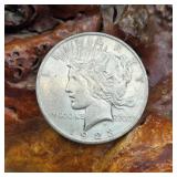 1923 D Silver Peace Dollar