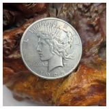 1925 Silver Peace Dollar