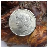 1925 Silver Peace Dollar