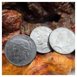 Three Toned Peace Silver Dollars