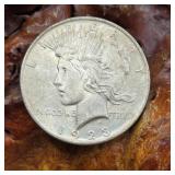 1923 Silver Peace Dollar
