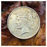 1923 Silver Peace Dollar
