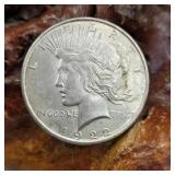 1922 Silver Peace Dollar
