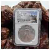 NGC 2022 MS70 Silver Eagle Delaware