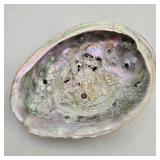 8" Abalone Shell