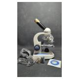 AmScope M158C Compound Microscope w/ Camera