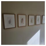 Framed Botanical / Fern Art Set of 5
