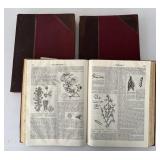1911 Encyclopedia Brittanica 11th Edition Vol 14,