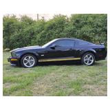 2006 40th Anniversary Hertz Shelby GT-H Mustang