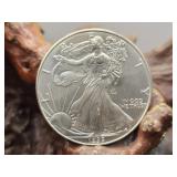 1999 US Silver Eagle Coin