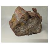 Larger Piece Of Petrified Wood