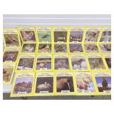 GETTING TO KNOW NATUREï¿½S CHILDREN 26 VOLUME SET