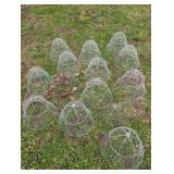 Chicken Wire Plant Cloches