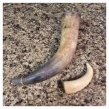 Whale Tooth & Horn Pair