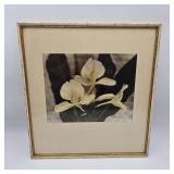 Antique White Ginger Lily Colorized Photo