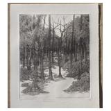 Rare Susan Morrison "Arkansas Wilderness" Etchings
