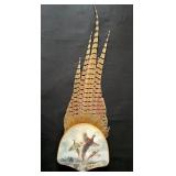 Pheasant Tail Feathers Mount on Printed Plaque