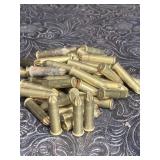22 LR. BIRD SHOT AMMO 55 RNDS. VARIOUS