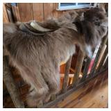 Fur / Hide & Horns Lot