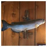 Blue Catfish Taxidermy Mount