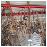 Lot of Traps Hanging from Rafters