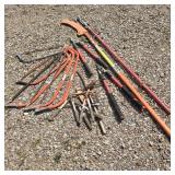Pruning Lot w/ Stihl Polesaw
