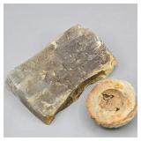 PETRIFIED WOOD AGATE & PETRIFIED PEACH ??