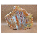 Polished Petrified Wood, Nice Specimen