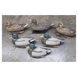 Flambeau Stormfront Mallard Duck Decoys +