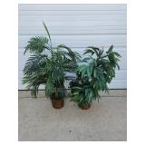 Artificial House Plants