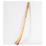 Termite Hollowed Eucalyptus Didgeridoo
