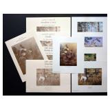 Quail Unlimited Signed LE Game Prints & Stamps