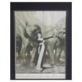 Signed "Dovima With Elephants" by Richard Avedon