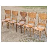 Set of Five Modern Wooden Side Chairs