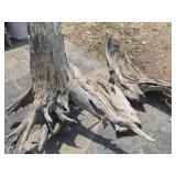Weeathered Cedar Driftwood Decor