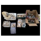 Box Lot - Sea Shells and Interesting Rocks