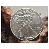 2014 US Silver Eagle