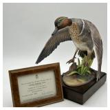 Royal Worcester Green Winged Teal Porcelain LE