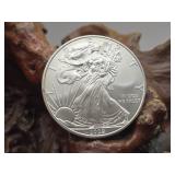 2009 .999 Fine Silver Eagle