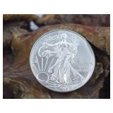 2015 .999 Fine Silver Eagle