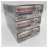 60 Rds. Winchester 243 WIN Varmint X 58 Grain