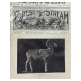 1996 Forest & Stream Magazine Volume LXVI-No. 15